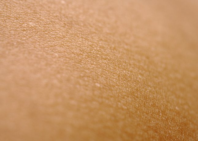 Close-up of a woman's skin, highlighting texture and natural tones.